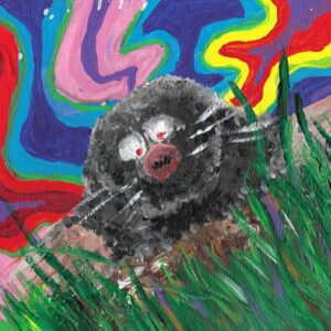 Blind single cover - Common Culture